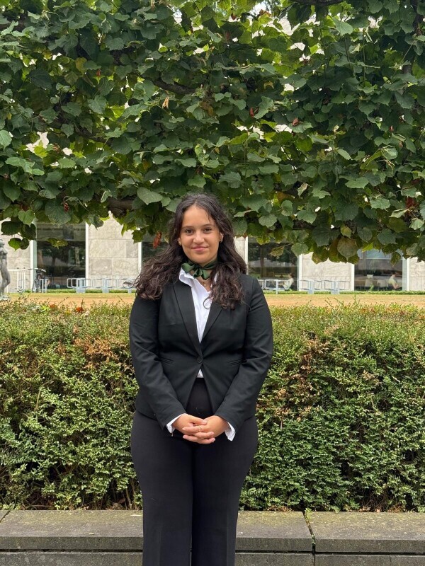 afbeelding van Chairman